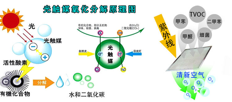 除甲醛加盟（méng）市場好嗎