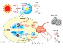 光觸（chù）媒除甲醛—專業甲醛治理多少錢