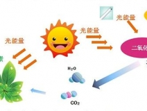 光觸媒產（chǎn）品的評價（jià）