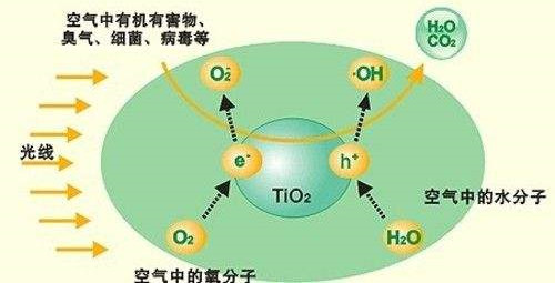 除甲醛公司與您分享窗簾中（zhōng）甲醛的秘密（mì）